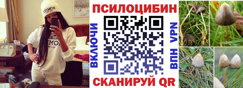 Купить  Изобильный  Псилоцибиновые грибы мицелий 